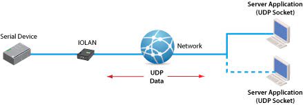 Uso di socket RAW UDP